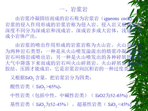 中山大学精选岩石学教学ppt课件