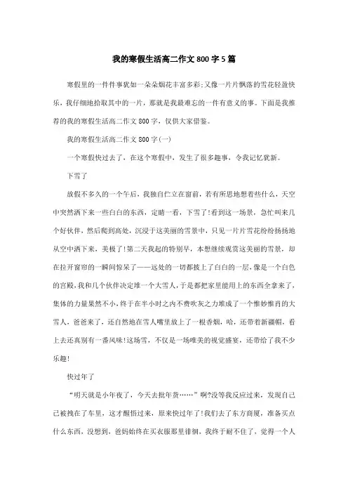 我的寒假生活高二作文800字5篇