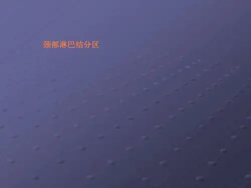 颈部淋巴结pptppt课件