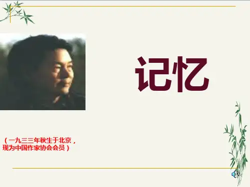 记忆PPT(优秀课件)9 人教版