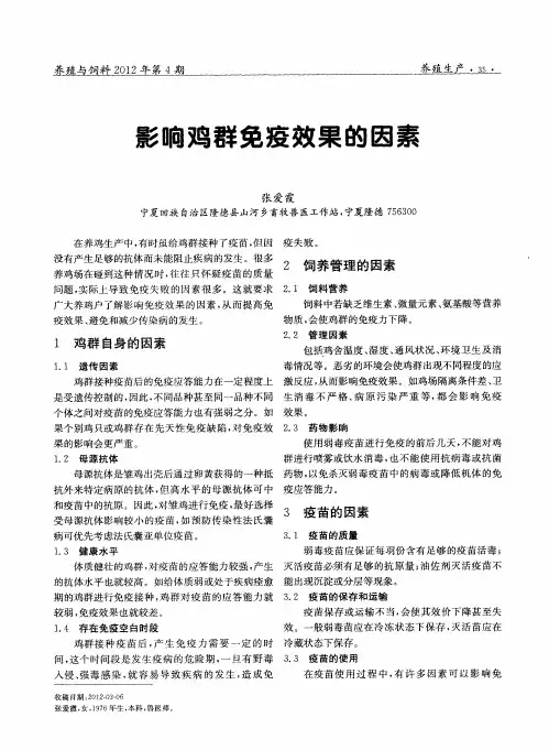 影响鸡群免疫效果的因素