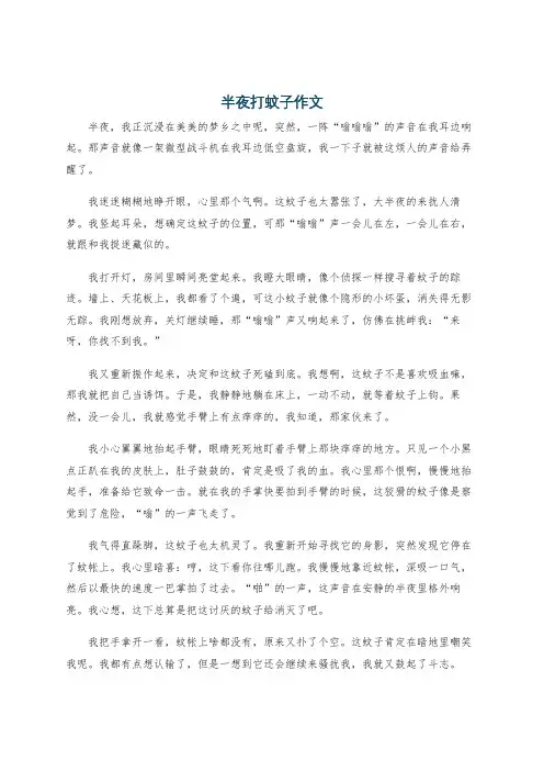半夜打蚊子作文