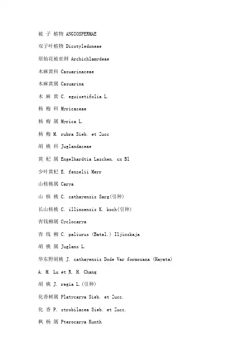 被子植物分类总结