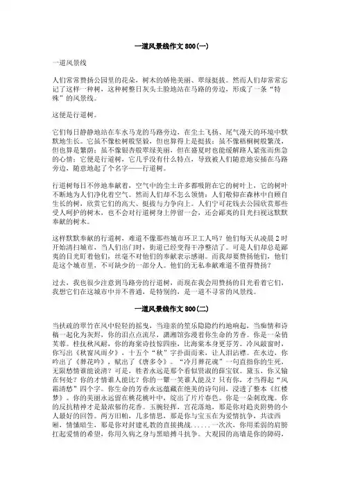 一道风景线作文800