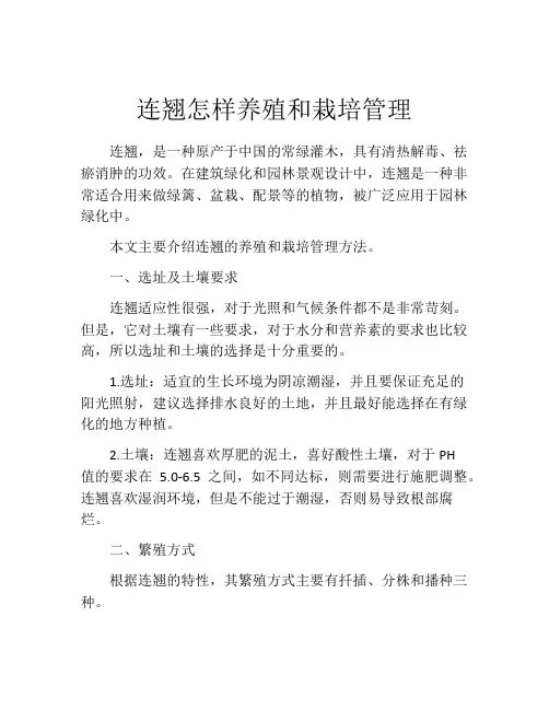 连翘怎样养殖和栽培管理