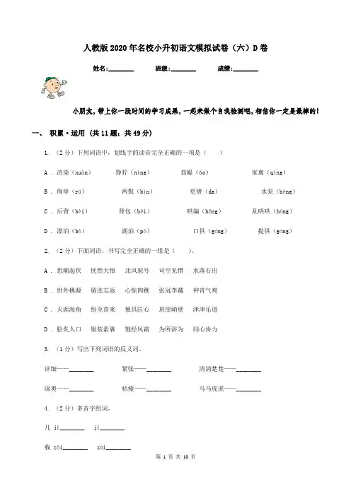 人教版2020年名校小升初语文模拟试卷(六)D卷
