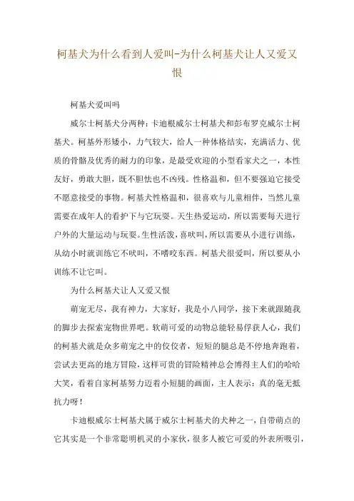 柯基犬为什么看到人爱叫-为什么柯基犬让人又爱又恨