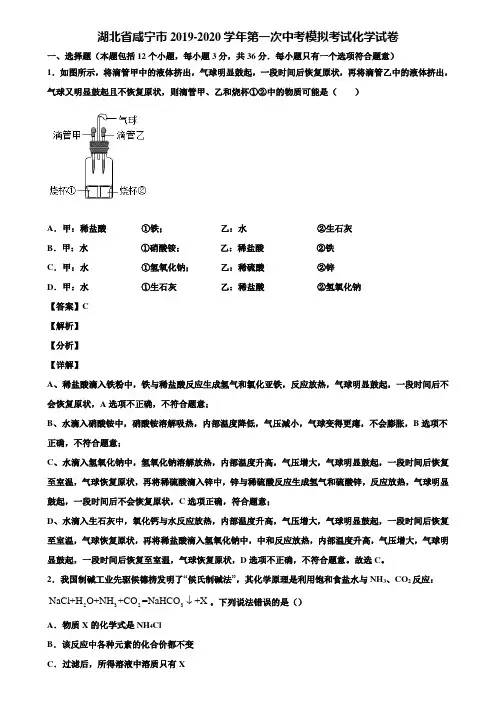 湖北省咸宁市2019-2020学年第一次中考模拟考试化学试卷含解析