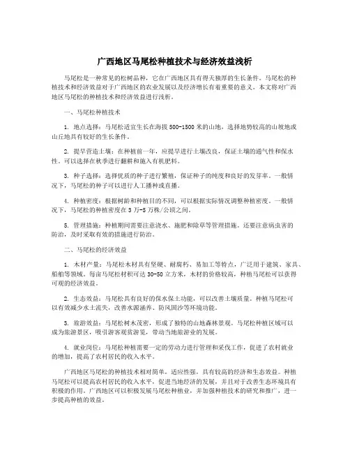 广西地区马尾松种植技术与经济效益浅析 2