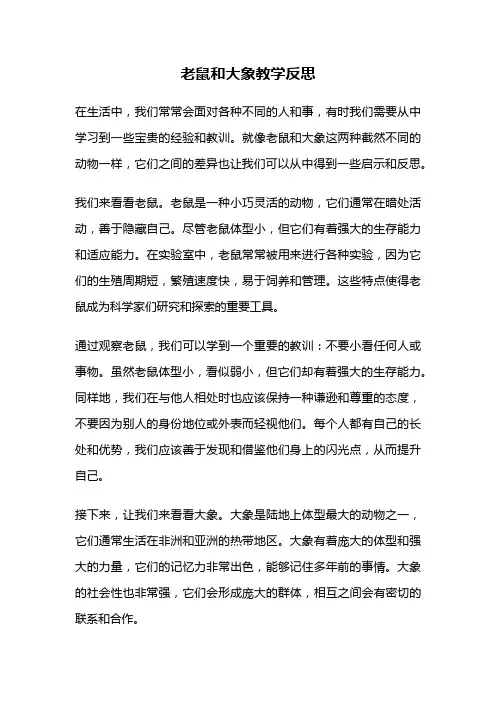 老鼠和大象教学反思