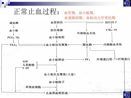血栓与止血检验理论ppt课件.ppt