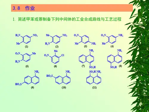 03硝化过程