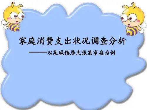 家庭消费支出状况调查分析.ppt