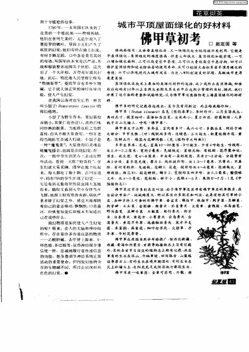 城市平顶屋面绿化的好材料佛甲草初考