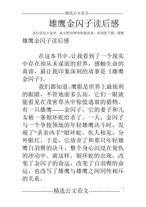 雄鹰金闪子读后感