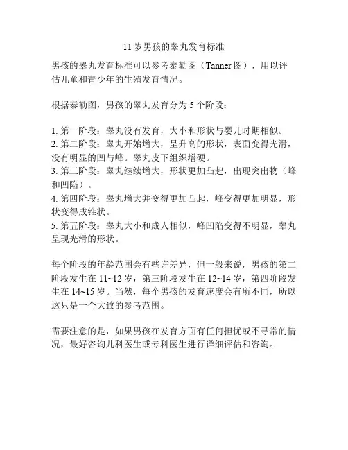 11岁男孩的睾丸发育标准