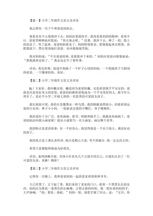 精选最新小学二年级作文范文及评语(八篇)