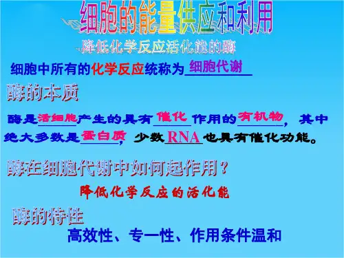 高考生物细胞的能量供应和利用第一轮复习课件新人教版