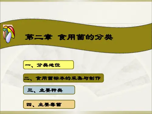 第二章 食用菌的分类
