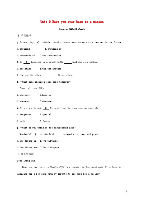 人教版2020八年级英语下册 Unit 9 Have you ever been to a museum Section B