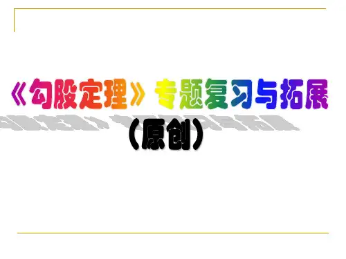 ☆原创《勾股定理》专题复习与拓展