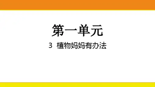 统编版二年级语文上册3 植物妈妈有办法  课件 (共19张PPT)