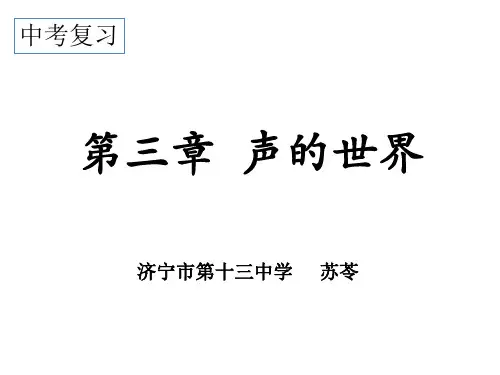 声-山东省济宁市第十三中学(五四制)中考物理复习课件(共37张PPT)