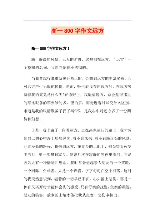 高一800字作文远方