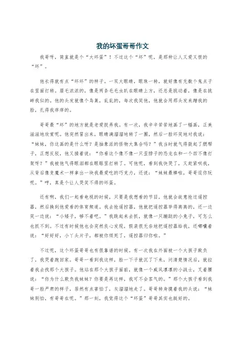 我的坏蛋哥哥作文