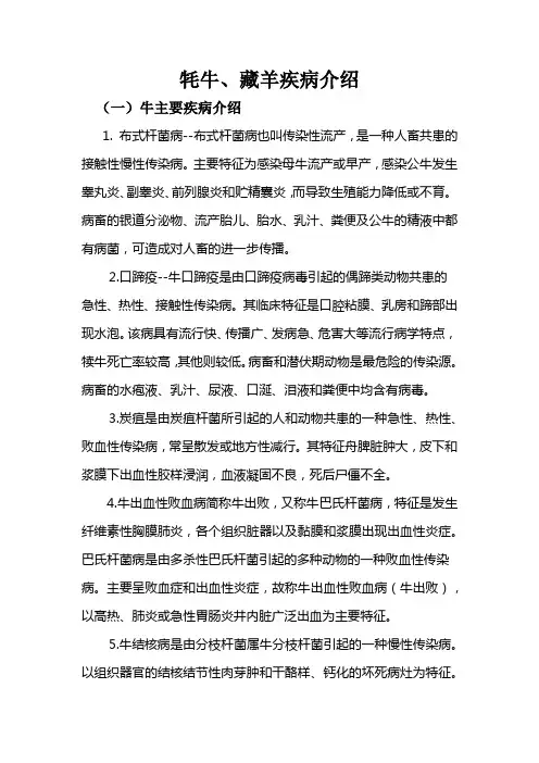 牦牛藏羊疫病简介