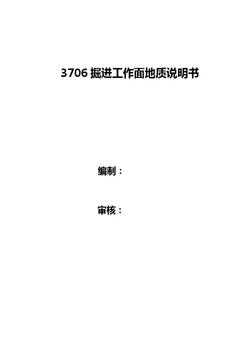 地质“三书”