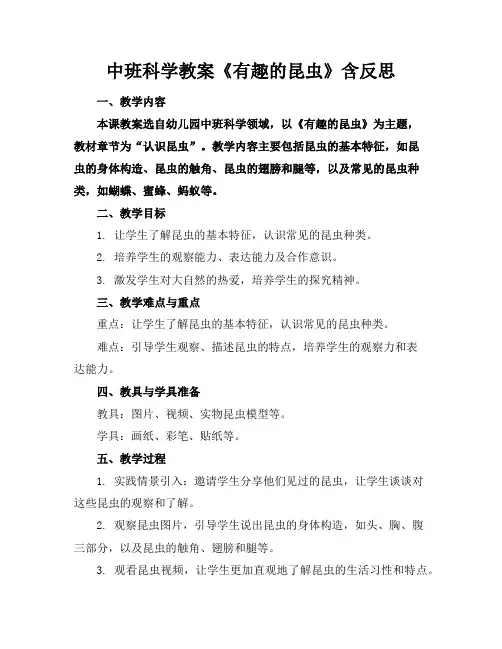 中班科学教案《有趣的昆虫》含反思