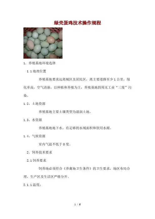 绿壳蛋鸡技术操作规程