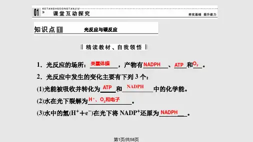 高中生物光反应碳反应环境必修PPT课件