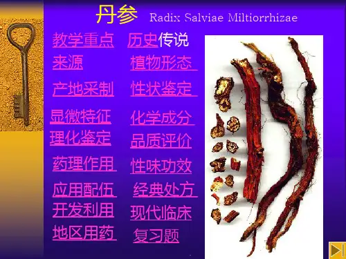 丹参PPT课件