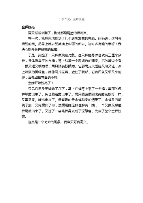 小学作文：金蝉脱壳_作文350字_小学作文_