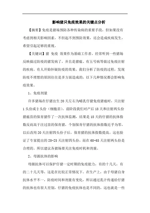 影响猪只免疫效果的关键点分析