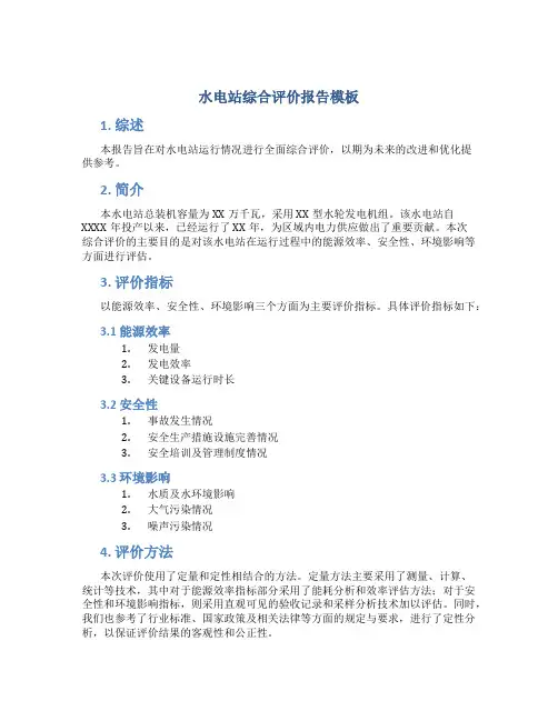 水电站综合评价报告模板