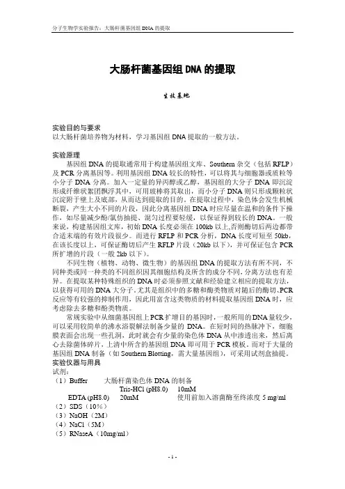 实验分子生物学实验大肠杆菌基因组DNA的提取