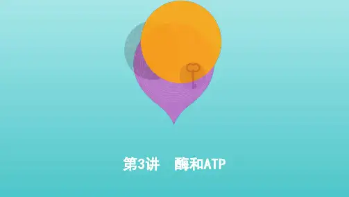 (课标专用)2020版高考生物二轮复习专题二第3讲酶和ATP课件