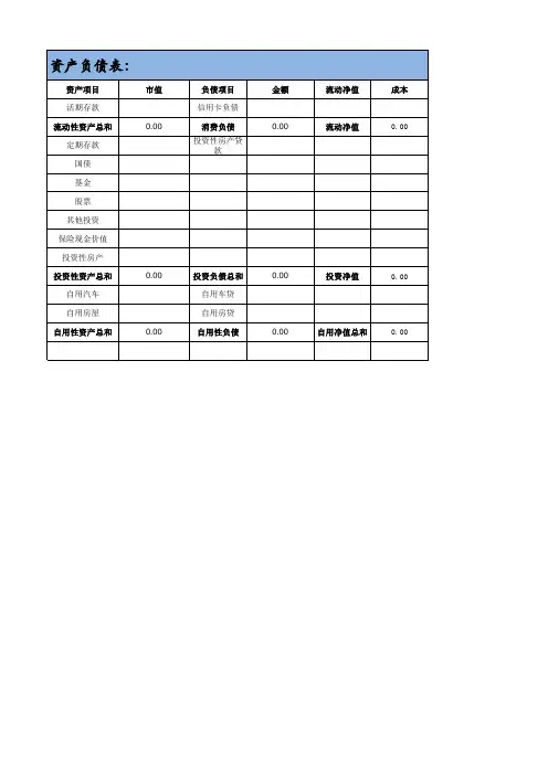 专业的家庭财务分析表