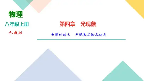人教版物理八年级上册作业课件第四章专题训练七 光现象实验及拓展