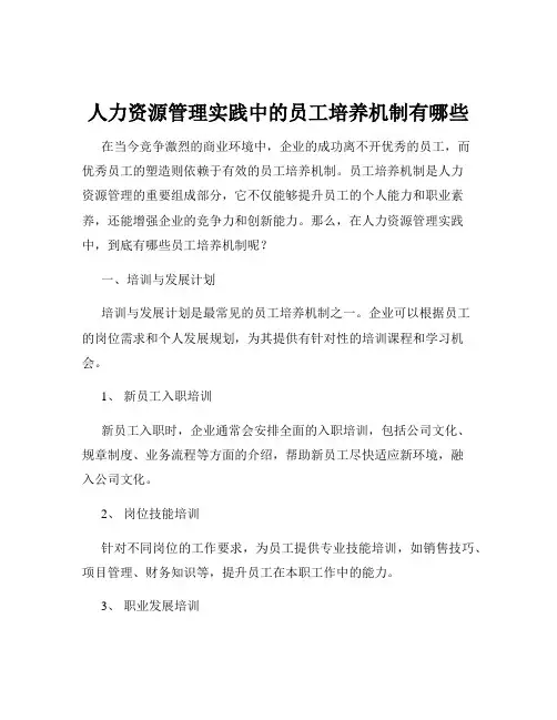 人力资源管理实践中的员工培养机制有哪些