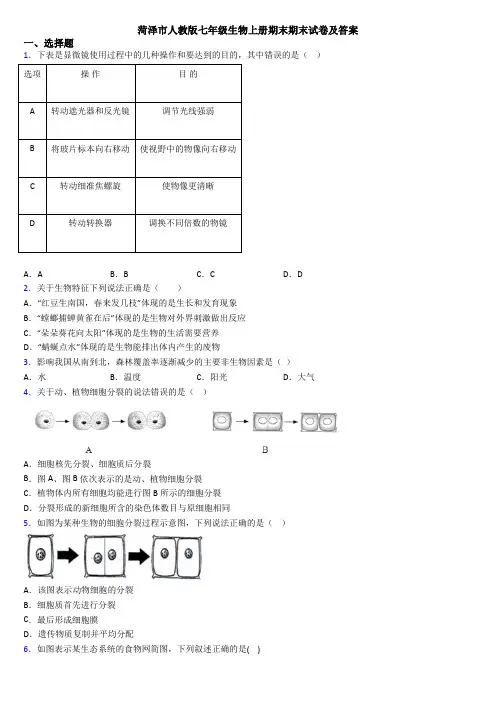 菏泽市人教版七年级生物上册期末期末试卷及答案
