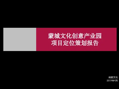 2019年4月亳州市蒙城文化创意产业园项目定位策划报告