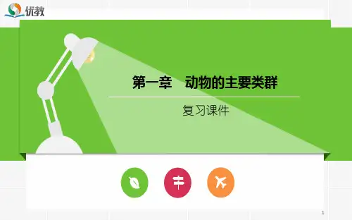 《动物的主要类群》复习PPT教学课件