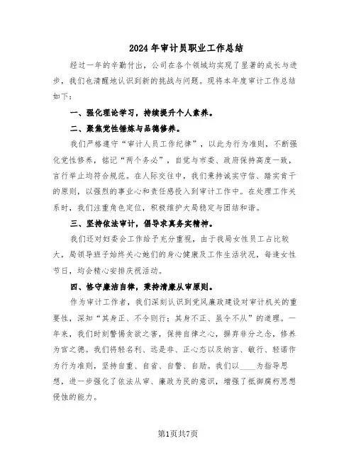 2024年审计员职业工作总结（四篇）