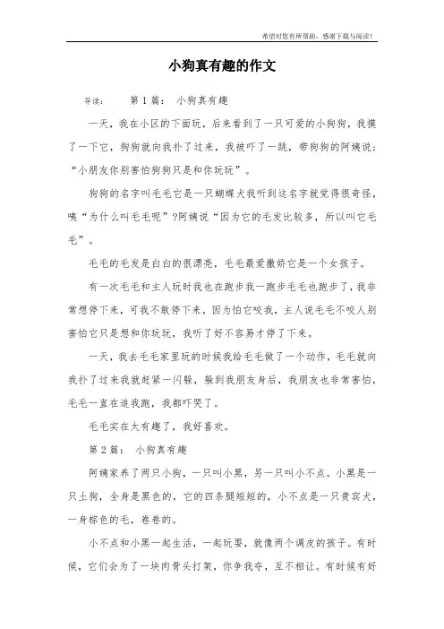 小狗真有趣的作文