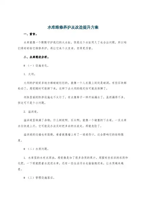 水库维修养护及改造提升方案
