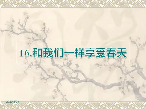 人教版四年级下册语文精品课件：第16课 和我们一样享受春天课后作业(B组)